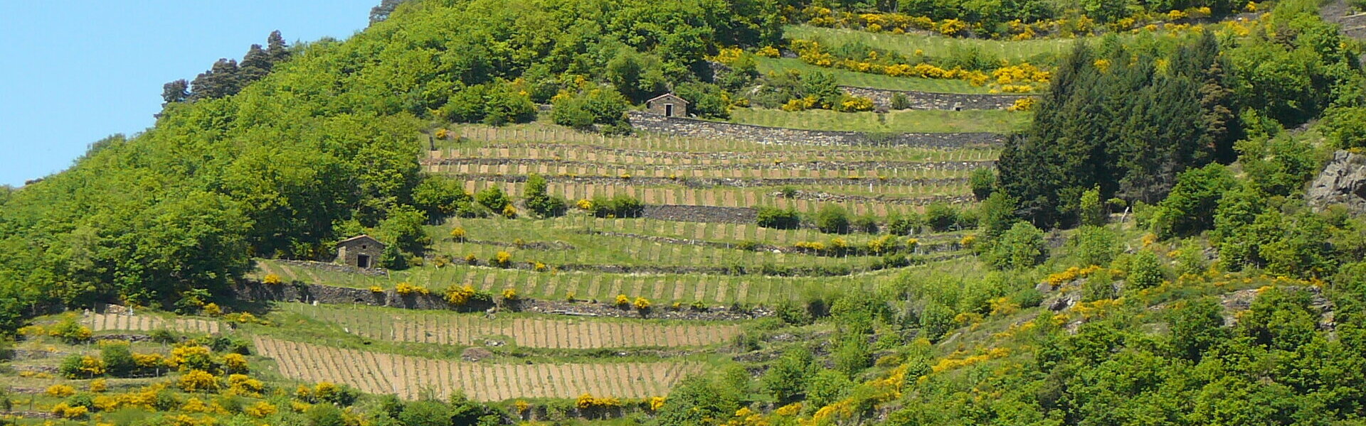 Molompize Cantal - entre Massiac et Murat